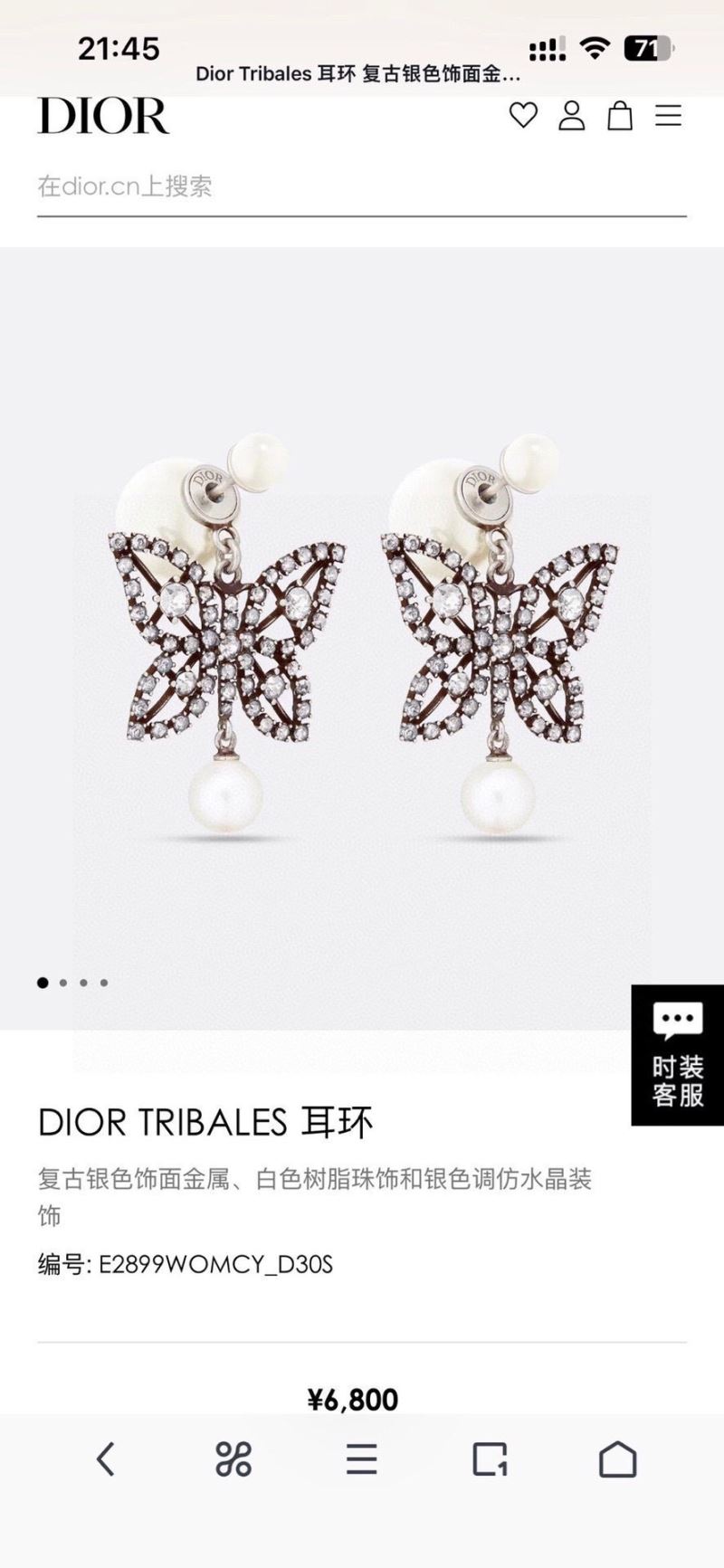 Christian Dior Earrings